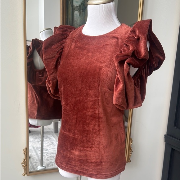 THML Tops - Elegant Rust Ribbed Velvet Top with Ruffled Sleeves